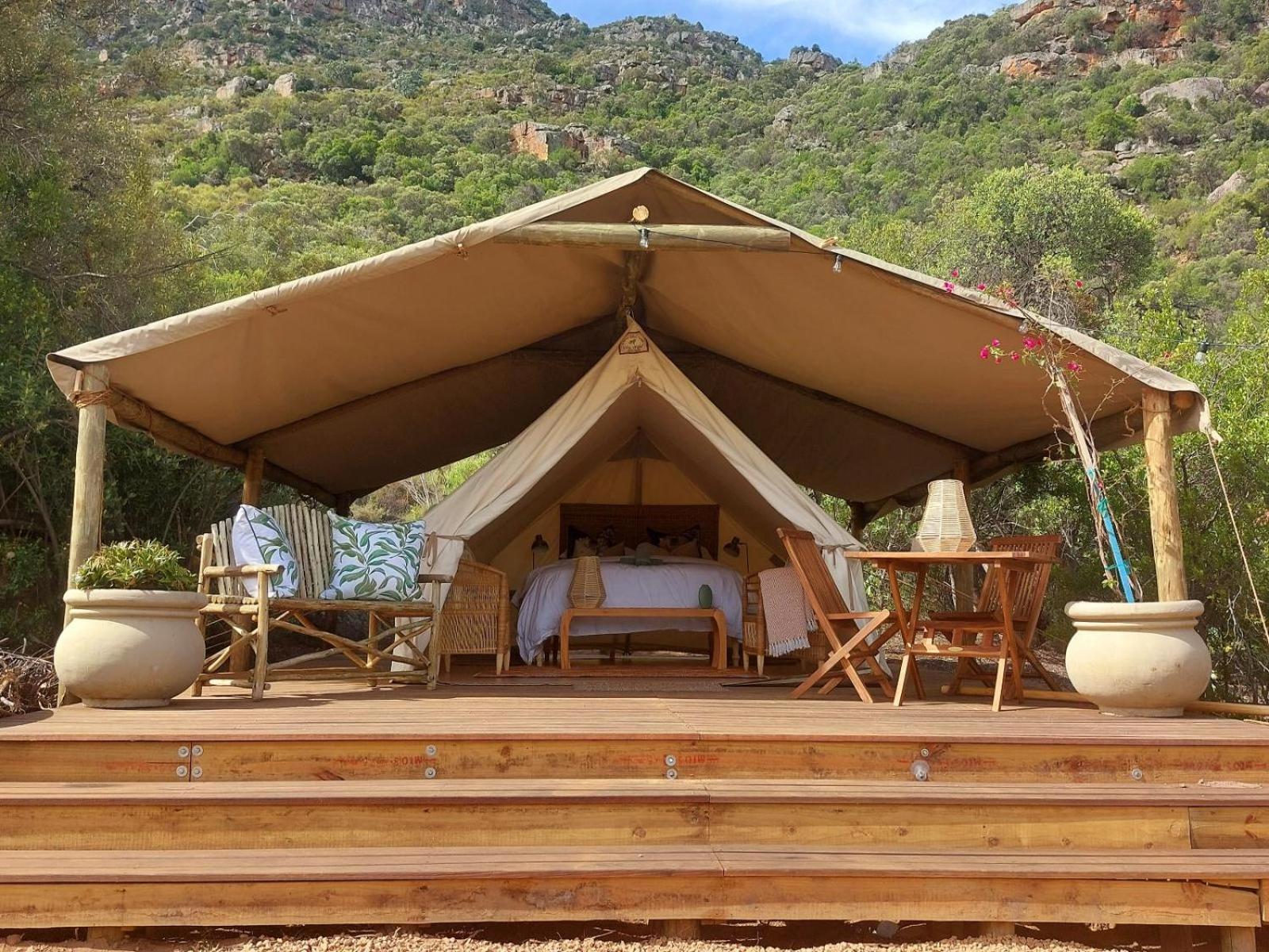 Leopard Valley Eco Retreat Citrusdal Habitación foto